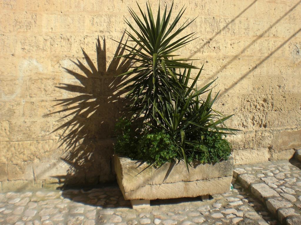 Casa Vacanza "Nel Cuore Dei Sassi" Apartments Matera Extérieur photo